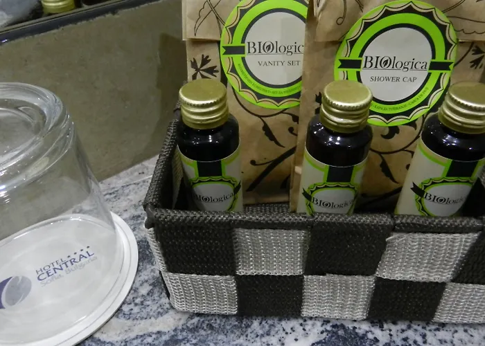 索非亚中心大酒店